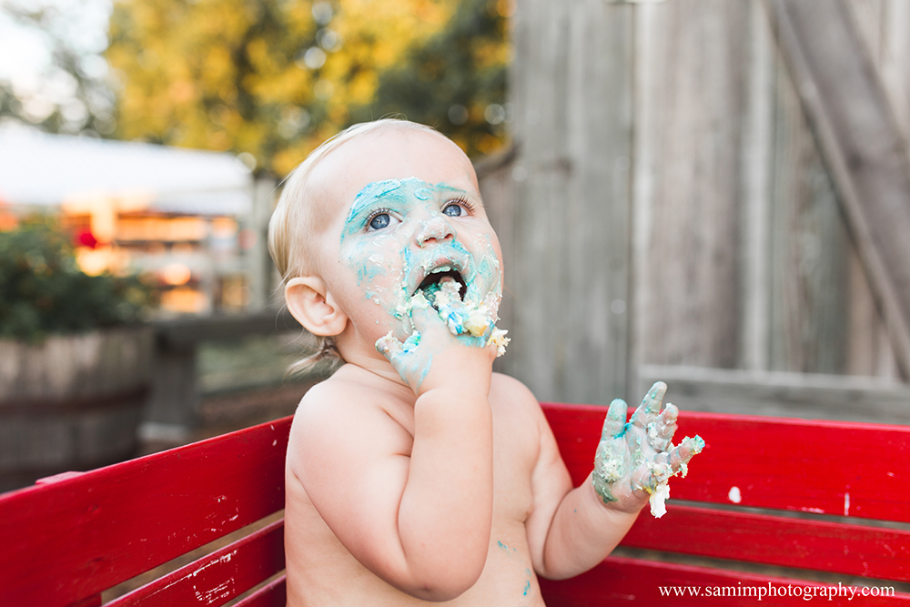 Ashburn Ga Photographer first birthday session the first 525,600 minutes