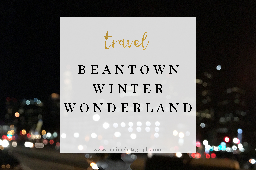 Beantown Winter Wonderland