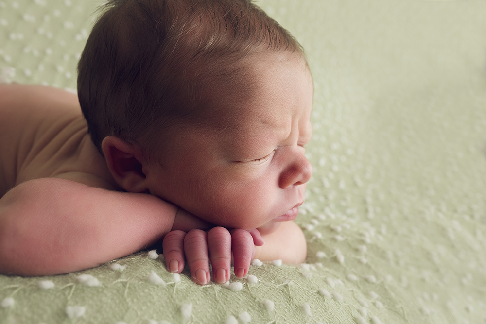 neutral newborn session forward facing pose green popcorn backdrop newborn profile photo