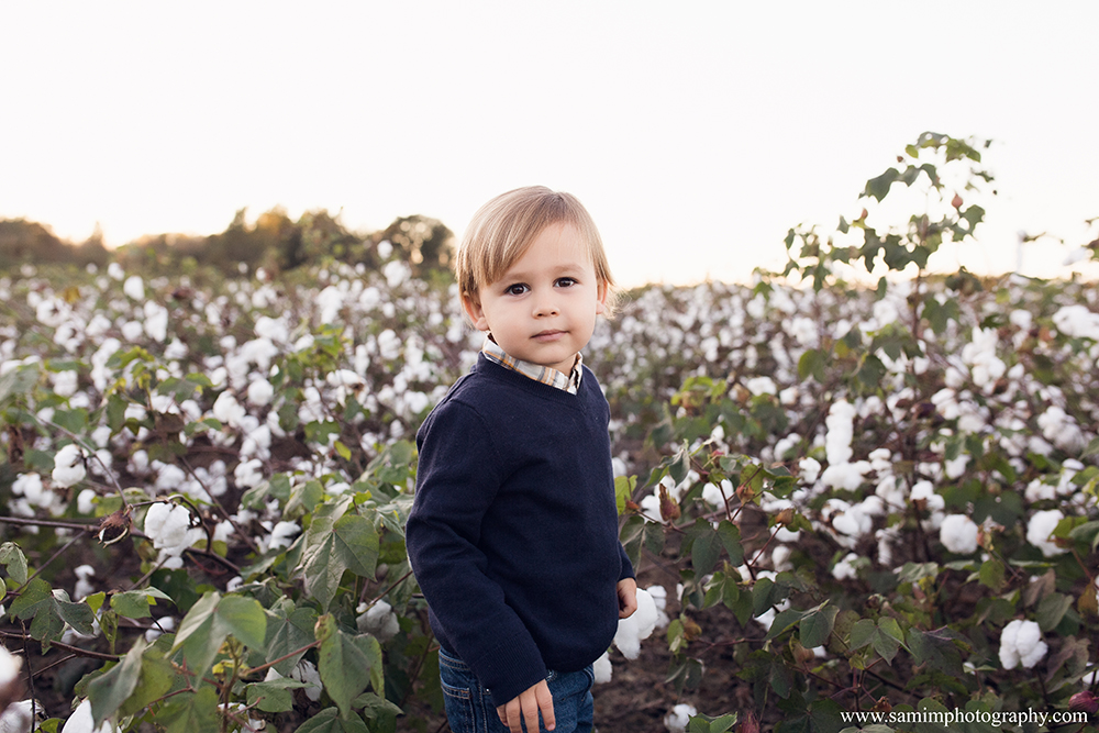 Fall session on the farm