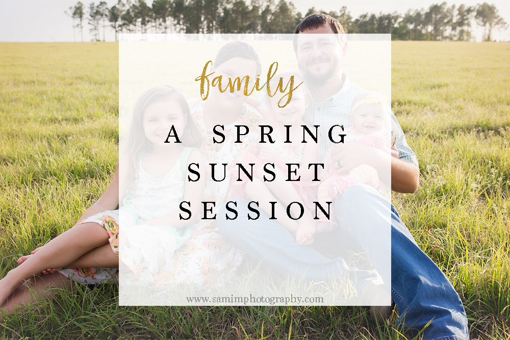 the Metcalf family // a spring sunset session